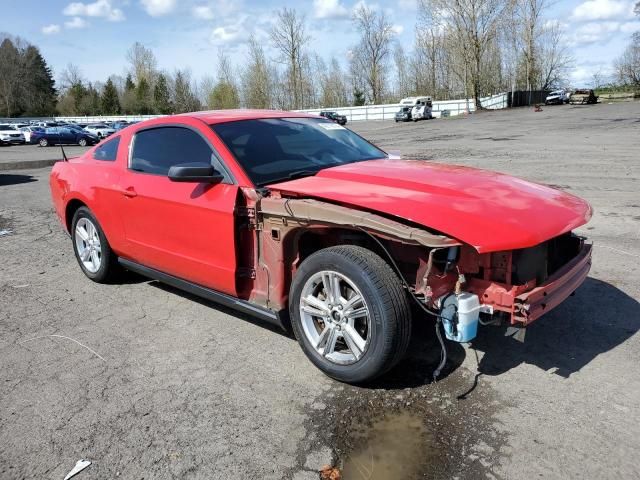 2010 Ford Mustang