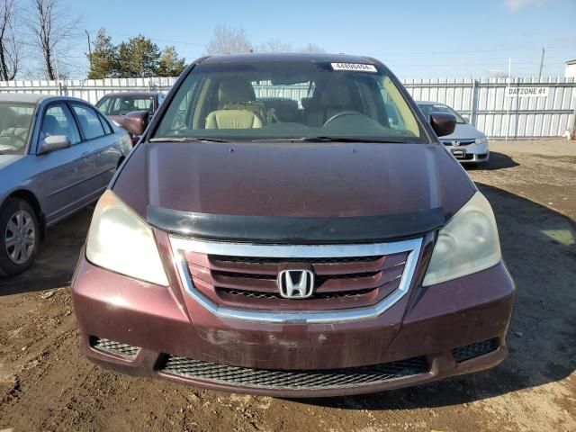 2009 Honda Odyssey EXL