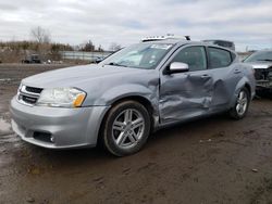 Salvage cars for sale from Copart Columbia Station, OH: 2013 Dodge Avenger SXT