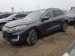 2020 Ford Escape SEL for sale in Chicago Heights, IL