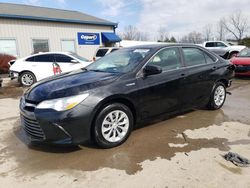 Toyota Vehiculos salvage en venta: 2015 Toyota Camry Hybrid