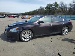 2010 Nissan Maxima S for sale in Brookhaven, NY
