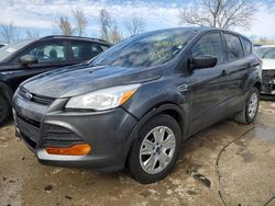 2015 Ford Escape S for sale in Bridgeton, MO