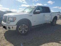 Ford Vehiculos salvage en venta: 2012 Ford F150 Supercrew