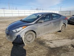 Hyundai salvage cars for sale: 2013 Hyundai Elantra GLS