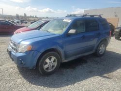 2009 Ford Escape XLT for sale in Mentone, CA
