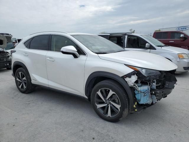 2021 Lexus NX 300H Base