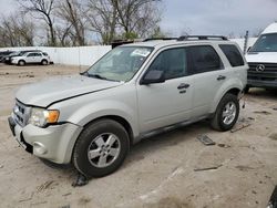 2009 Ford Escape XLT for sale in Bridgeton, MO