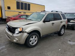 Ford salvage cars for sale: 2012 Ford Escape XLT