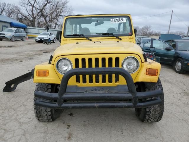 2002 Jeep Wrangler / TJ Sport