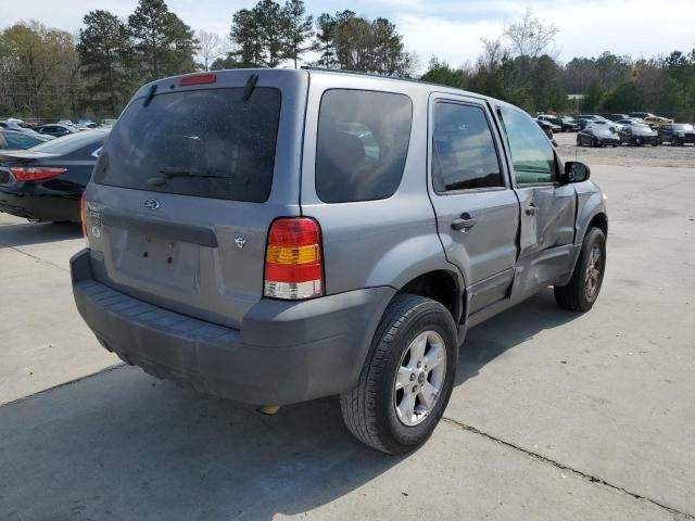 2007 Ford Escape XLT