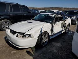 Ford Mustang Vehiculos salvage en venta: 2002 Ford Mustang