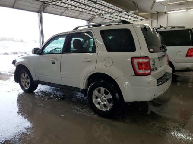 2011 Ford Escape Limited