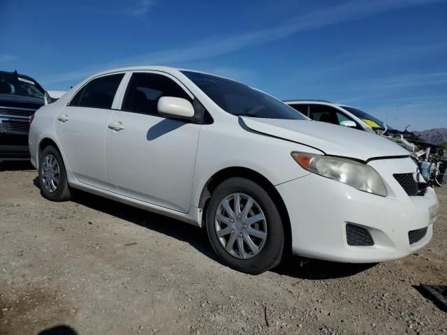 2009 Toyota Corolla Base