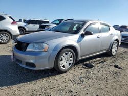 Dodge salvage cars for sale: 2013 Dodge Avenger SE