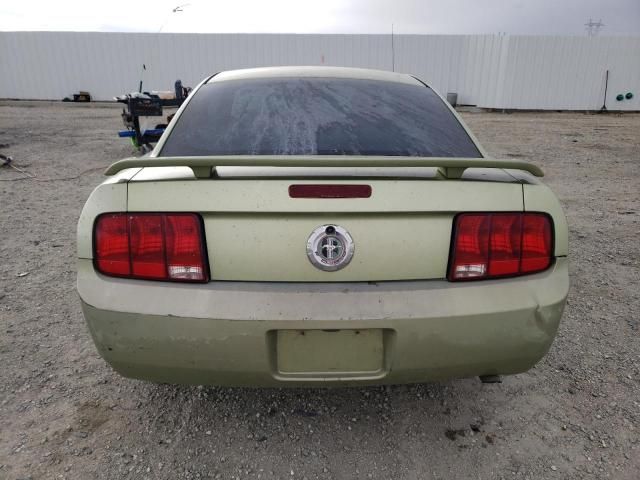 2005 Ford Mustang