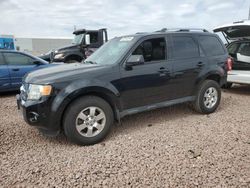 Ford Escape salvage cars for sale: 2012 Ford Escape Limited