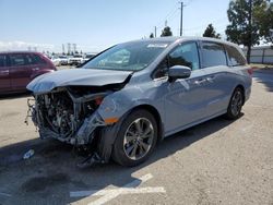 Salvage cars for sale from Copart Rancho Cucamonga, CA: 2023 Honda Odyssey Elite