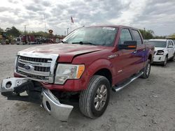 Ford F-150 salvage cars for sale: 2013 Ford F150 Supercrew