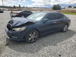 Honda Accord ex salvage cars for sale: 2013 Honda Accord EX