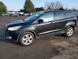 Ford Escape salvage cars for sale: 2015 Ford Escape