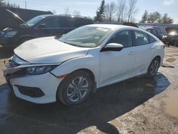 Honda Civic lx Vehiculos salvage en venta: 2017 Honda Civic LX