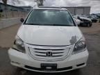 2009 Honda Odyssey EXL