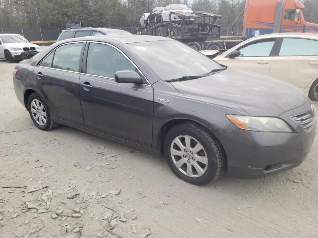 2008 Toyota Camry Hybrid