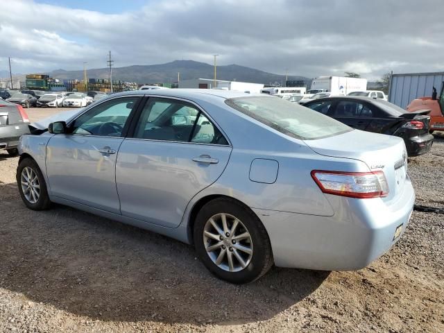 2010 Toyota Camry Hybrid