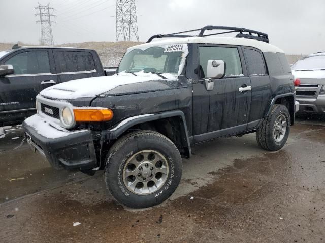 2011 Toyota FJ Cruiser