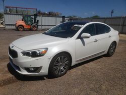 KIA Vehiculos salvage en venta: 2014 KIA Cadenza Premium