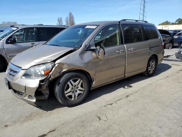 2006 Honda Odyssey EXL