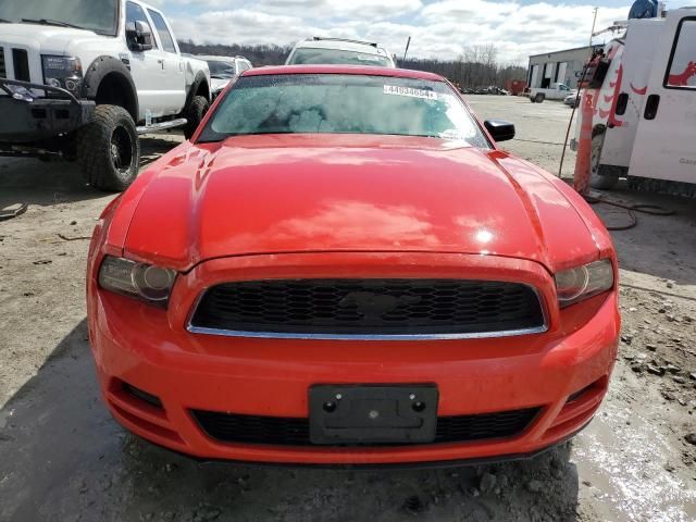 2013 Ford Mustang