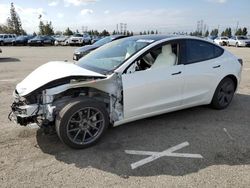 Salvage cars for sale from Copart Rancho Cucamonga, CA: 2023 Tesla Model 3