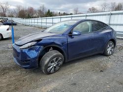 2023 Tesla Model Y en venta en Grantville, PA