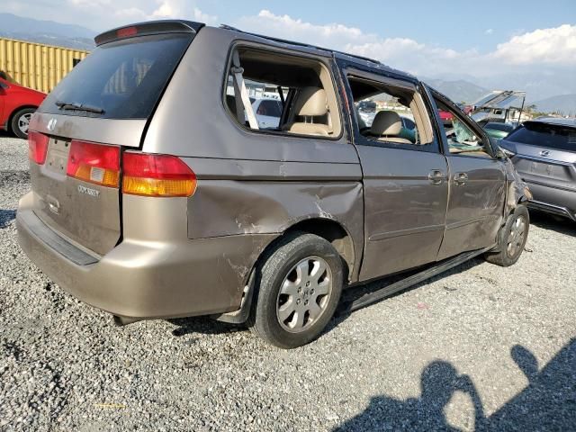 2003 Honda Odyssey EXL