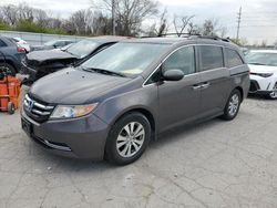 Honda Odyssey salvage cars for sale: 2016 Honda Odyssey SE