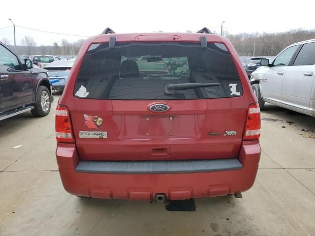 2010 Ford Escape XLT