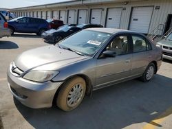 2005 Honda Civic LX for sale in Louisville, KY