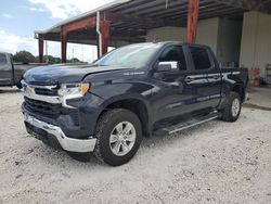 Salvage cars for sale from Copart Homestead, FL: 2024 Chevrolet Silverado C1500 LT