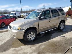 Ford salvage cars for sale: 2007 Ford Escape Limited