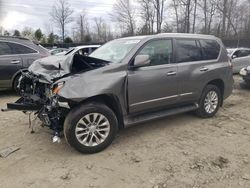 2014 Lexus GX 460 for sale in Waldorf, MD