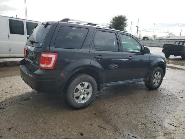 2011 Ford Escape Limited