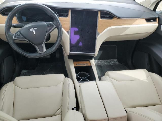 2019 Tesla Model X