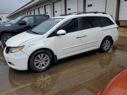 2017 Honda Odyssey EXL en venta en Lawrenceburg, KY