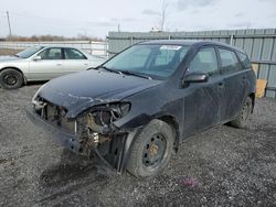 2008 Toyota Corolla Matrix XR for sale in Ottawa, ON