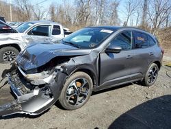 2023 Ford Escape ST Line Plus en venta en Marlboro, NY