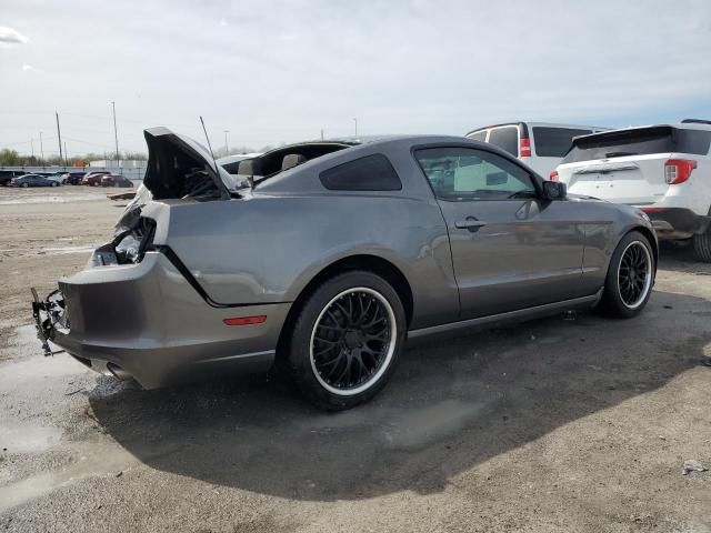 2014 Ford Mustang