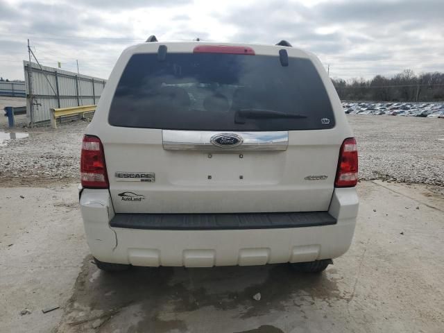 2009 Ford Escape Limited