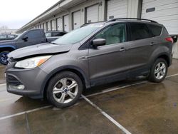 Ford salvage cars for sale: 2014 Ford Escape SE